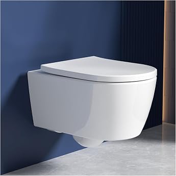 Rainsworth Wall-Mounted Toilet Rimless Single Hole Flush Toilet White 53 cm