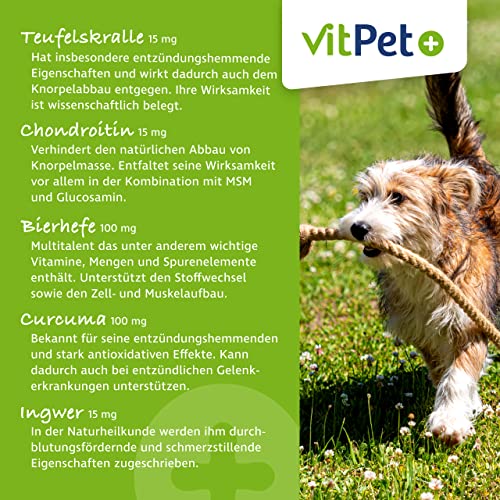 VitPet+ GelenkVit - Gelenktabletten Hund - Mit Grünlippmuschel Hund, Teufelskralle, MSM, Kurkuma und Kollagen - 100 Gelenktabletten für Hunde - Premium Inhaltsstoffe - Made in Germany