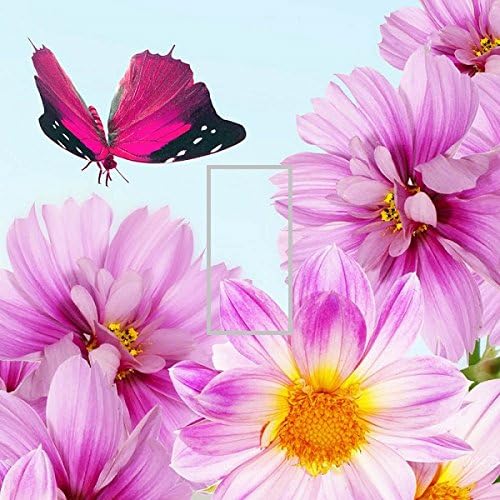 LIGHT SWITCH COVER VINYL STICKER SKIN PLATE L161 PRETTY DAISY DASIES PINK FLOWERS BUTTERFLY WALL DECAL SELF ADHESIVE DECORATIVE HOME ACCESSORIES BEDROOM CHILD ROOM