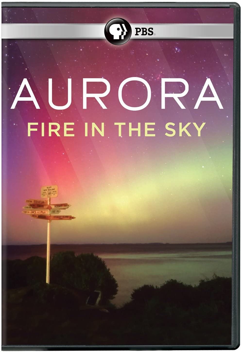 Aurora: Fire in the Sky DVD para noches de cine en casa y relajación