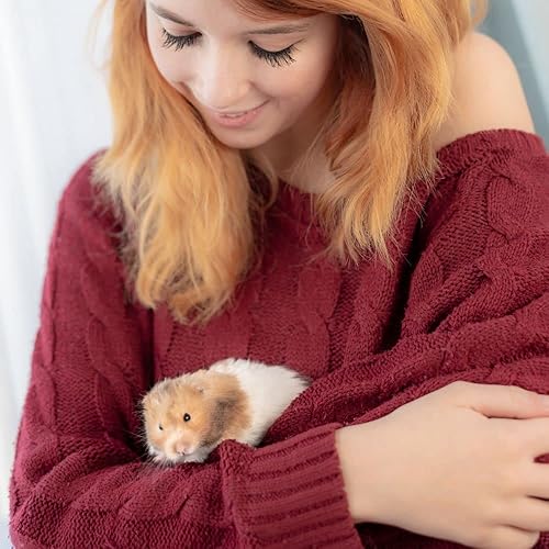 Miniatura 7 de Sunseed Vita Sunscription Diet Hamster Gerbil Food (2.5 libras) con golosinas Trail Mix (5 onzas) - Paquete de folletos masticables y divertidos