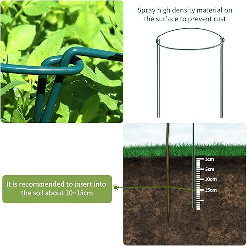 Miniatura 5 de JOYSEUS Paquete de 6 estacas de soporte para plantas, estacas de metal para plantas de jardín, anillo de soporte de plantas medio redondo verde,