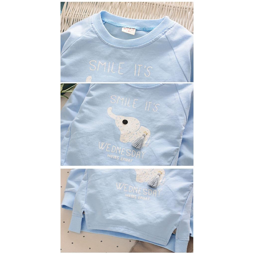 Frühling Herbst Kinder Kleidung Casual Stil Jungen Outfits Baby Kleidung Set Langarm Tops Hosen Pullover Zwei Stücke