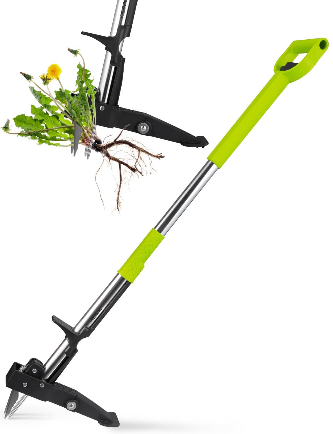 YISSVIC Unkrautstecher mit Stiel Teleskop Länge 100 CM-120 cm Hochfester Edelstahl 4 Krallen Unkrautentferner Keine Montage Blau