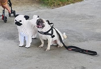 610KUH5-1tL._AC_UF350,