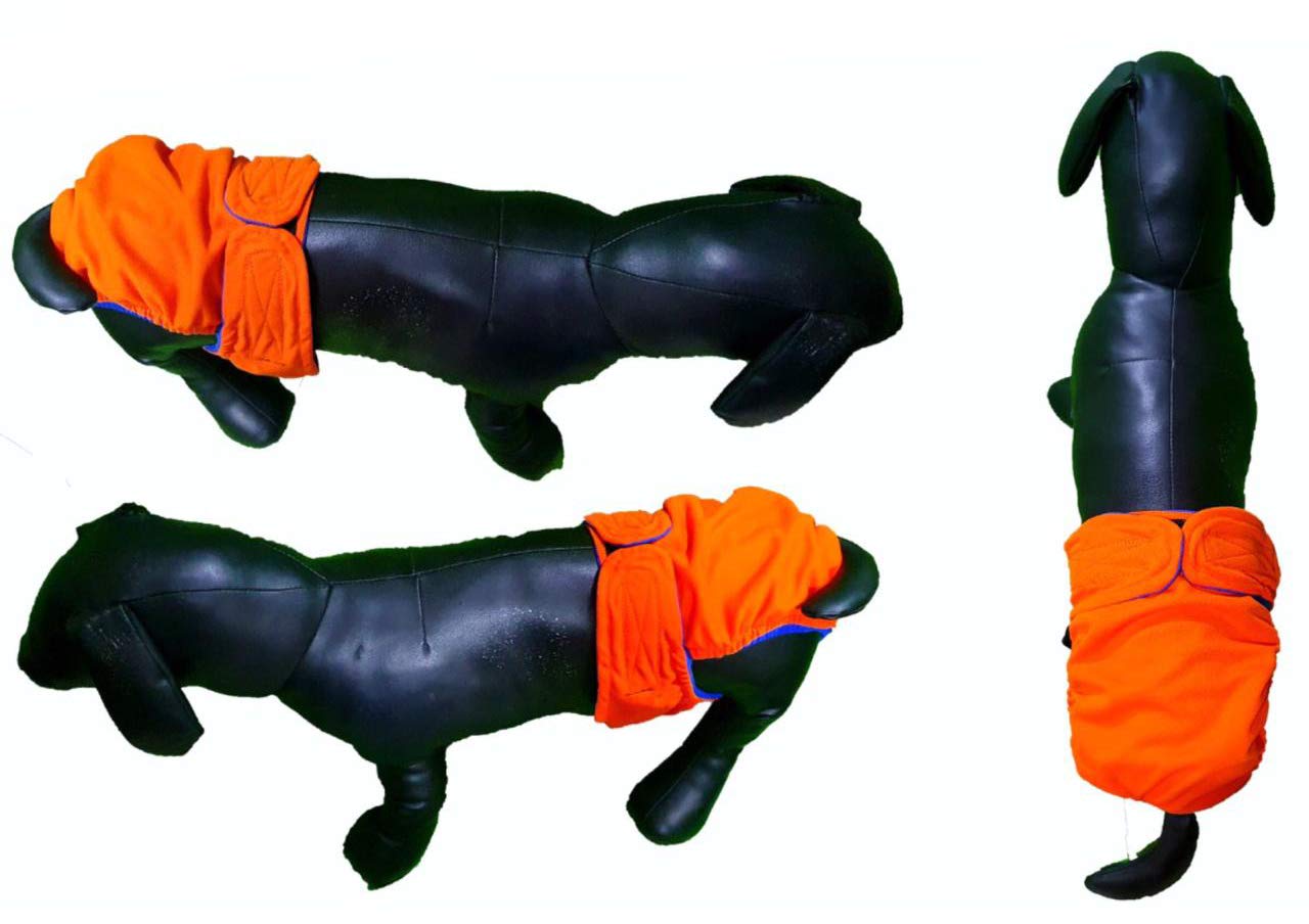 Kitty & The Woof Gang Yellow and Black Reversible, Washable, Reusable Diaper/Heat Pants for Female Dogs. Male Dogs with Health Issues. Diaper Panties - L – (20-23) X 8.5 X 15.5 (B08WLVKKQW) Amazon Price History, Amazon Price Tracker