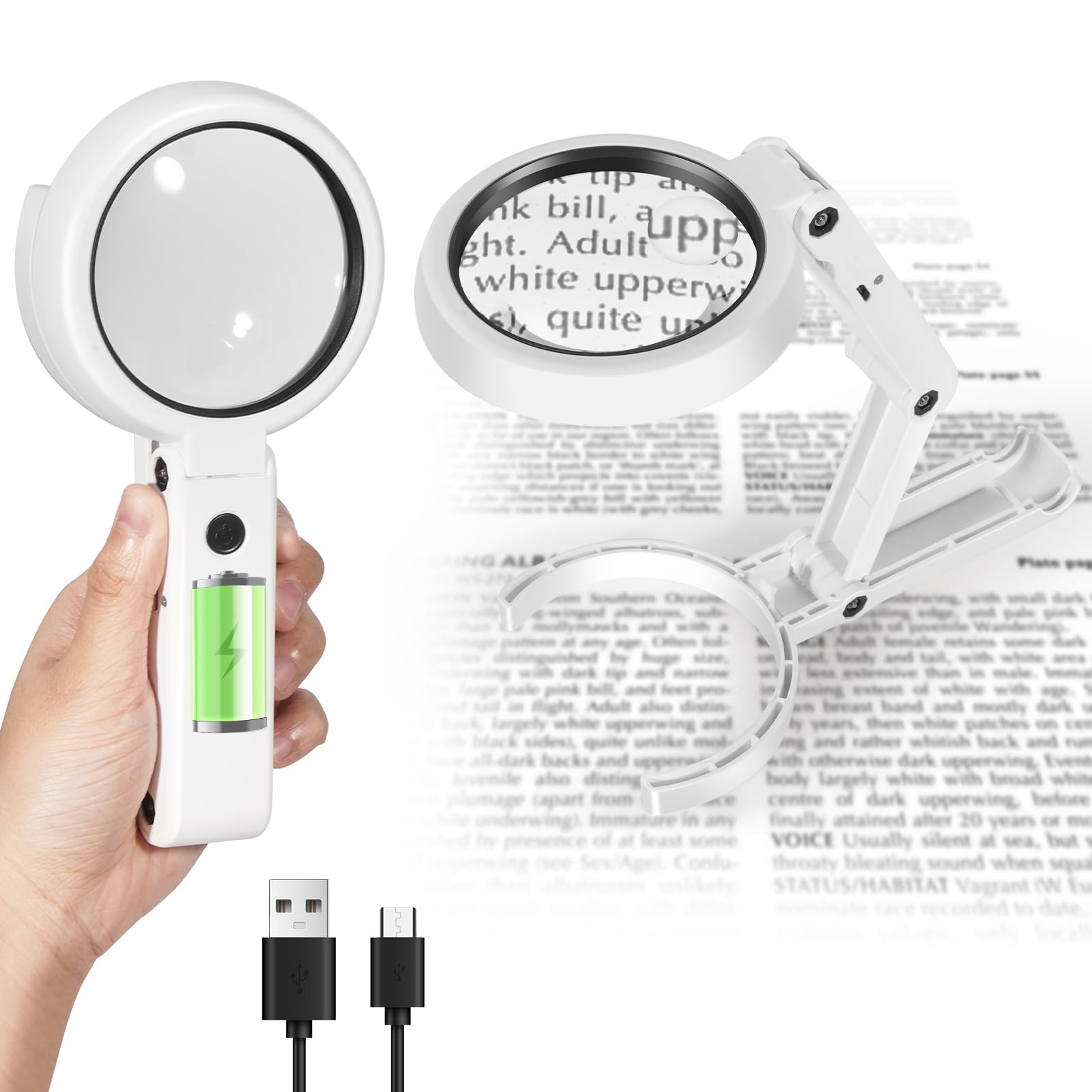Loupe de lecture rechargeable avec lumière LED et support de table