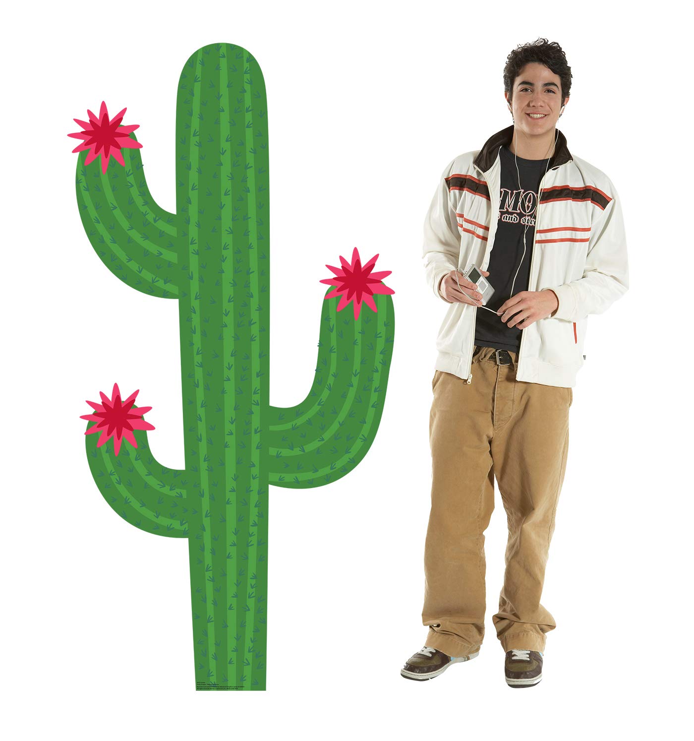 Amazon.com: Cardboard People Cactus Standee Life Size Cardboard Cutout  Standup : Home & Kitchen