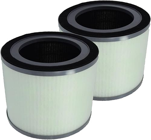PUREBURG Filtro de repuesto compatible con el purificador de aire Dreamegg TR-8080, paquete de 2 compuestos orgánicos volátiles de carbón activado
