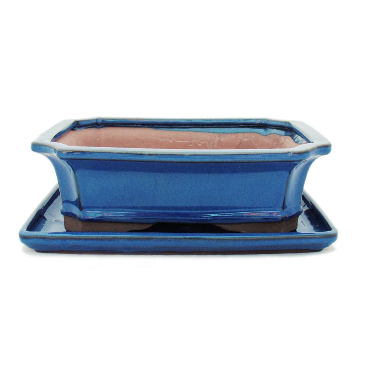 exotenherz - Bol à bonsaï avec soucoupe taille 4 - Bleu - carré - Modèle G4 - L 26 cm - l 20 cm - H 8 cm