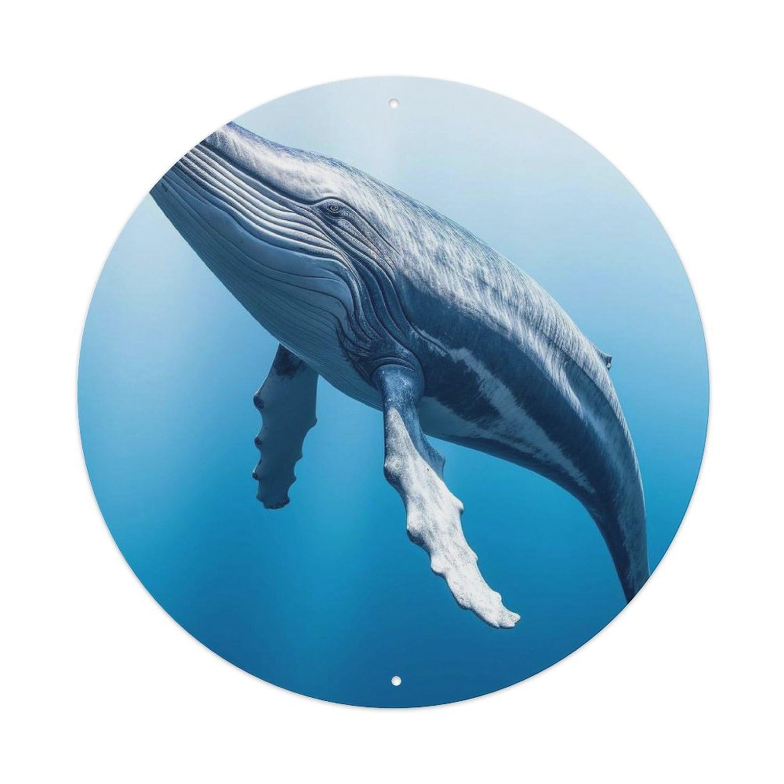 Marine Animal Huge Whale Vintage Metal Tin Sign Plaque Wall Decor for Cafe, Club, Garden Round Metal Poster 8x8Inch