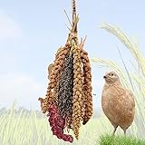 WachtelGlück KnabberMix, Naturmischung verschiedener Hirsekolben, 150g