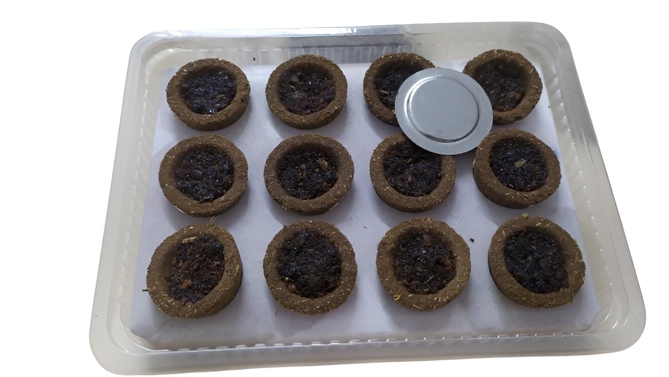 Pure Cow Dung Sambrani Dhoop Cup (24 Pcs) Guggal/Loban Havan Cup for Worship, Havan, Puja, Meditation & Spritiual Purpose Organic Sambrani (Pack of 24Cups)-image-28