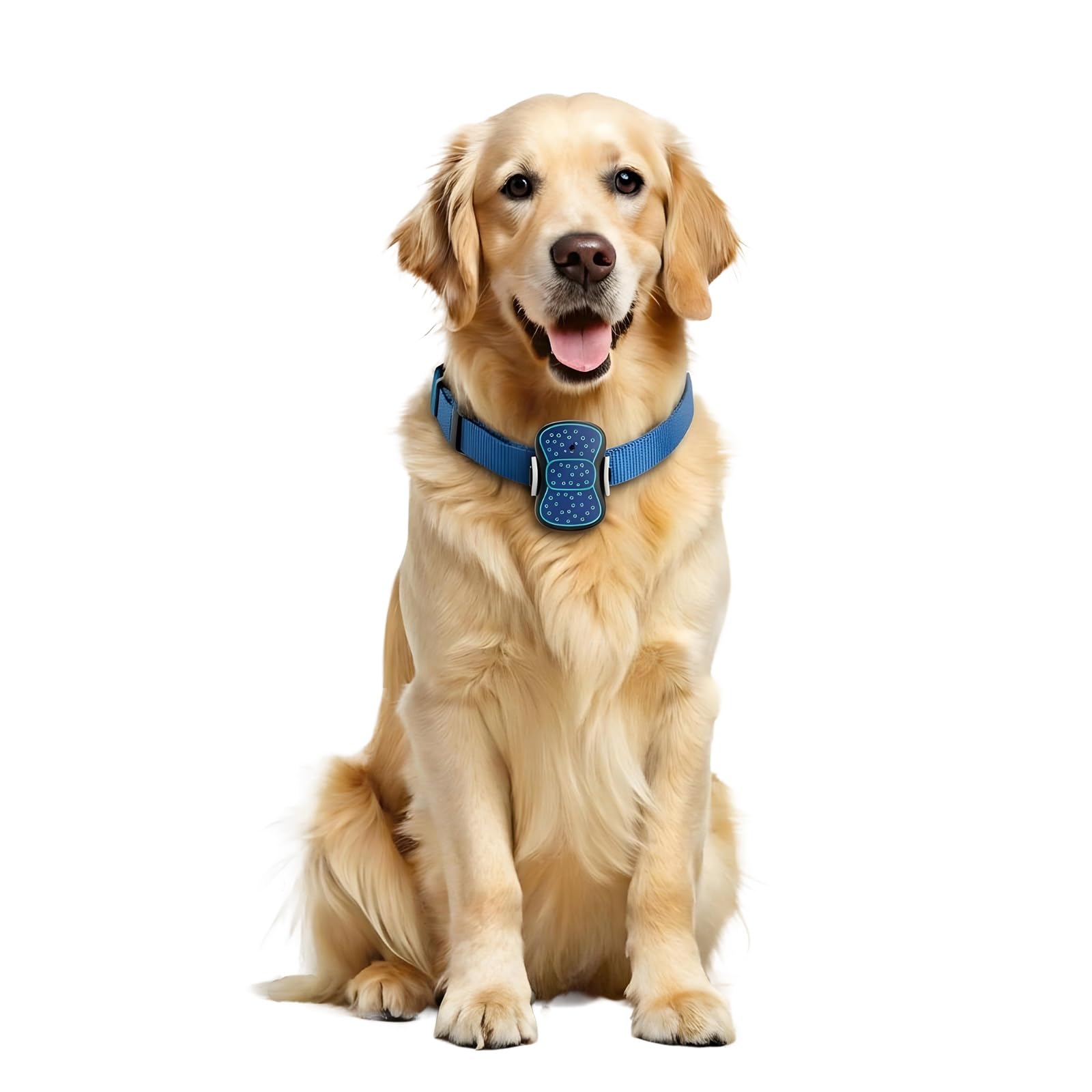 TWM Smart Pet Tracker Lite – GPS Tracking Device for Dogs & Cats with Real-Time Tracking, Geo-Fencing Alerts (12 Months Recharge)-image-16