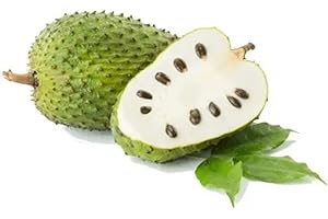 35 Guanabana Fruit Seeds: A Tropical Oasis in Your Own Backyard