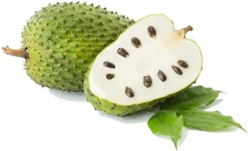 QAUZUY GARDEN 35 semillas de guanábana Annona Muricata Graviola Guyabano Sirsak semillas de fruta sin OMG sabroso árbol frutal nativo tropical de