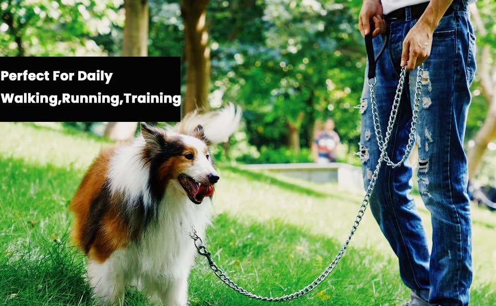 Image of RvPaws Heavy Duty Dog Leash, Metal Dog Leash Dog Chain with Handle for Small & Medium Size Dogs - Color As Per Available