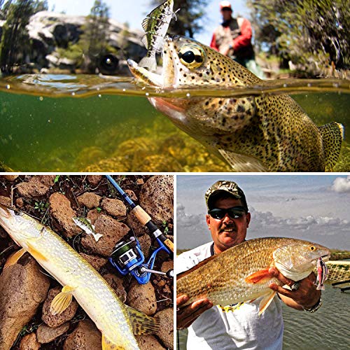image for TRUSCEND Fishing Lures for Bass 3.9