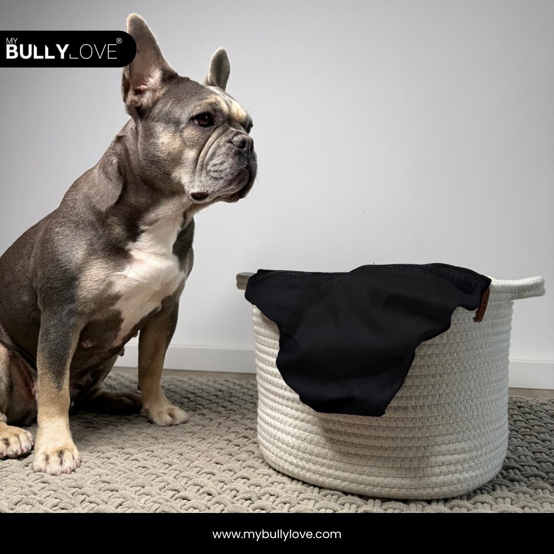 Läufigkeitshöschen für Französische Bulldoggen – Wiederverwendbare Hundewindel ohne Rutenloch, handgefertigt & stufenlos verstellbar (Groß (49-53cm Hüftumfang), All Black)