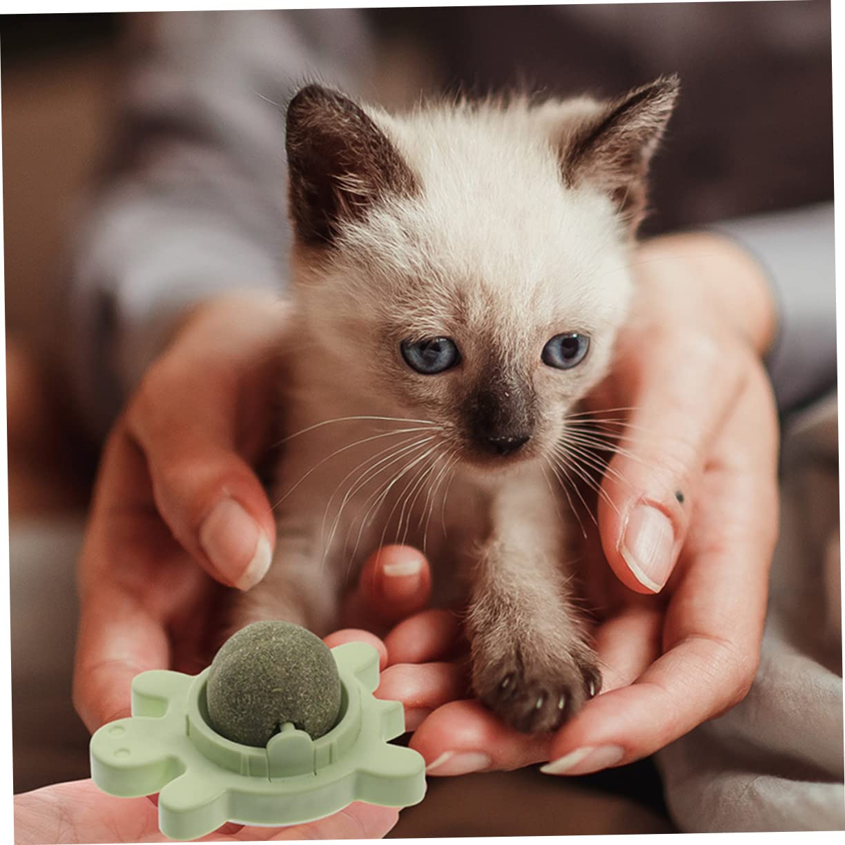 4pezzi Palline Di Catnip Interattive Per Gatti Giocattoli Rotanti Edibili Per Pulizia Dei Denti e Divertimento Colori e Stimola Attività e Benessere Fisico
