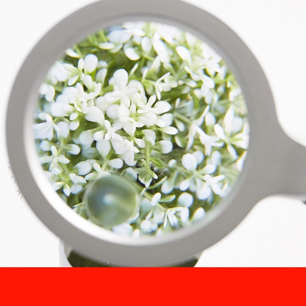 Lupa HD 3X de Vidrio, Lectura, Lupa óptica de Mano con luz LED, portátil de Mano de 240 mm
