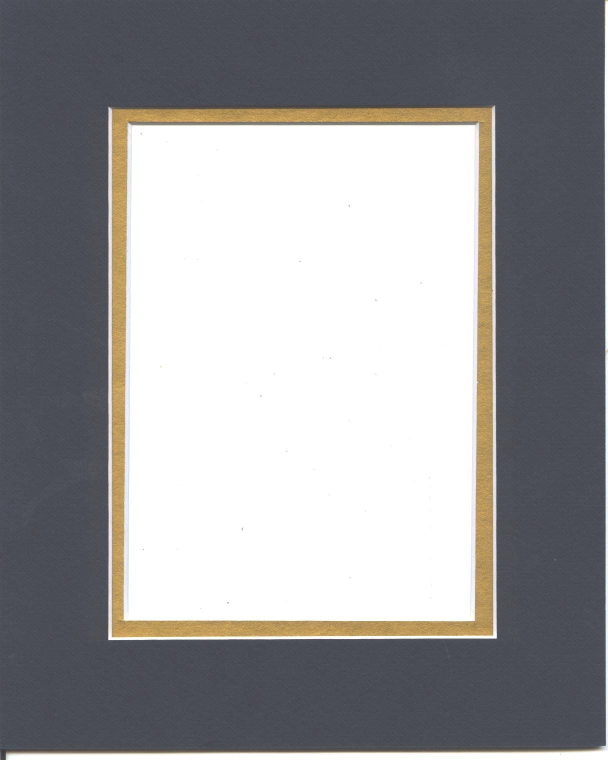 16x20 Navy Blue & Gold Double Picture Mat, Bevel Cut for 11x14 Picture or Photo