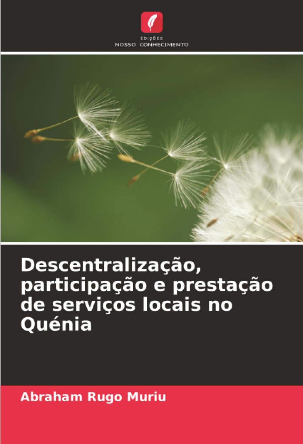 Descentralização, participação e prestação de serviços locais no Quénia