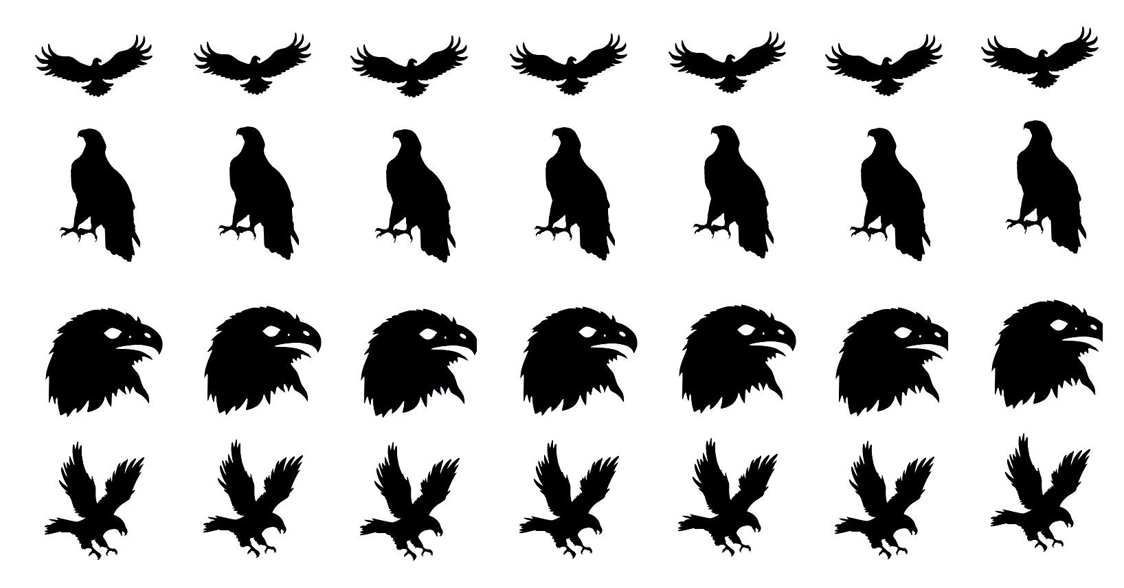 Eagle Collection (Eagle Scrapbook Black)