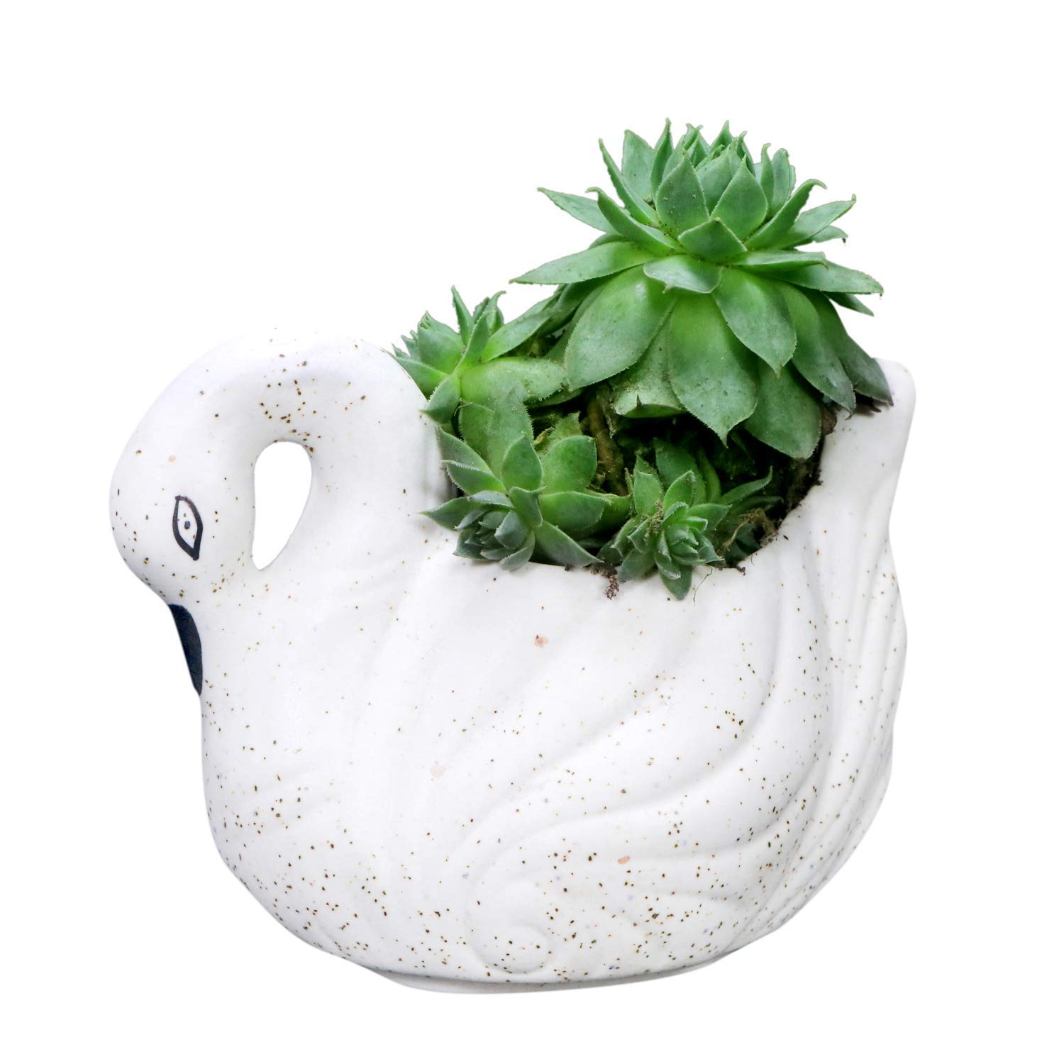 Lyallpur Stores Ceramic Pots for Plants Swan Shape - Small Size (White Color, 6 cm) Ceramic Planters for Indoor Plants, Living Room. [Plant Not Included] (B0839CX1RS) Amazon Price History, Amazon Price Tracker