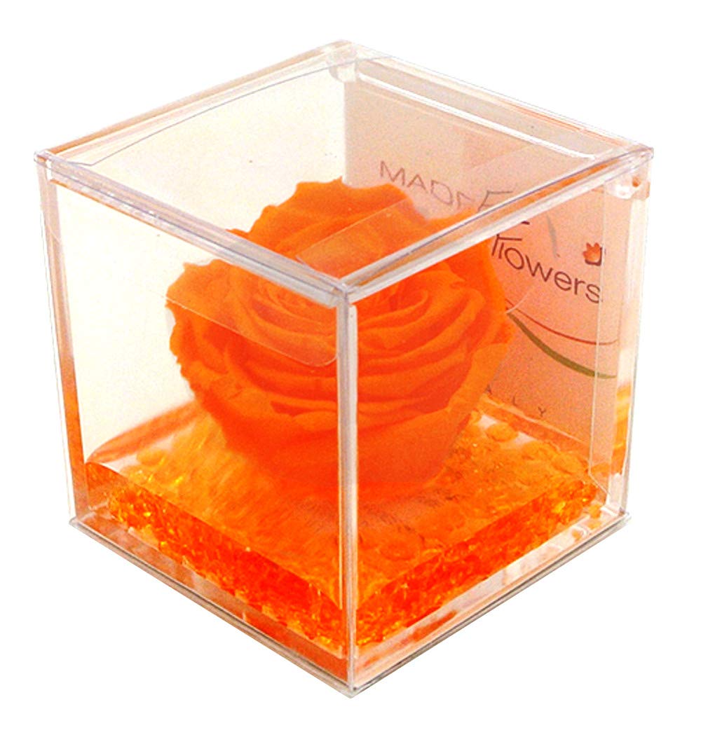 Texo di Claudio Rosso Rosa Vera Arancione Stabilizzata Profumata 8x8 Idea Regalo Fidanzata Moglie