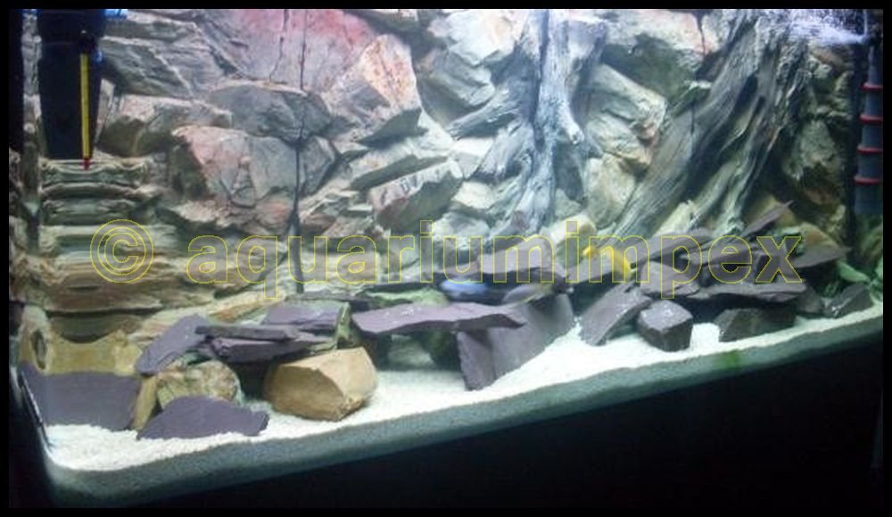 3D Aquarienrückwand 100x50 Root