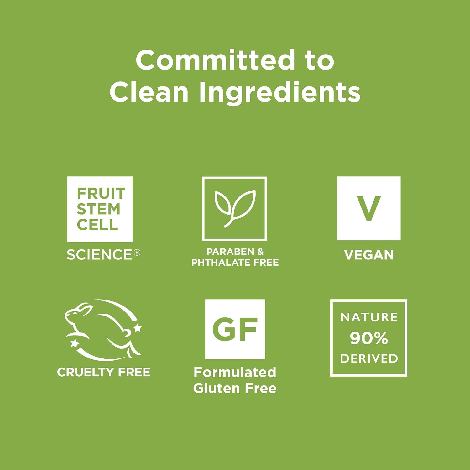 Andalou Naturals Citrus Sunflower Uplifting Shower Gel, 8.5 Ounce