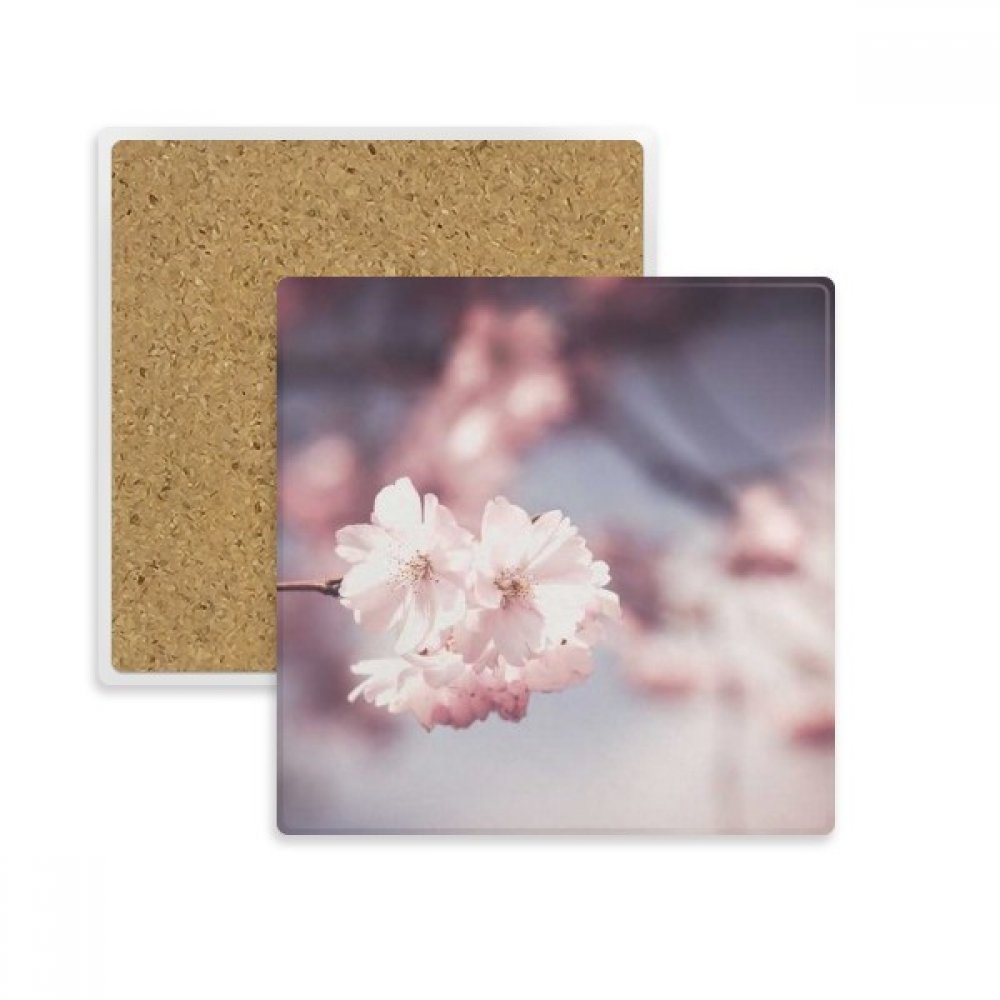 Place Tasse Coaster Pierre Absorbante pour Décoration Table Salon et Bureau