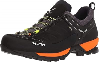 Salewa Mountain Trainer GTX