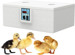 Incubadoras para incubar huevos, incubadora de huevos de codorniz, dispositivo inteligente de cría casera con temperatura estable para pollo, patos, gansos, codornices y loros