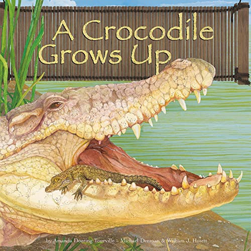 A Crocodile Grows Up by Michael Denman, William Huiett, Amanda Doering Tourville episode artwork