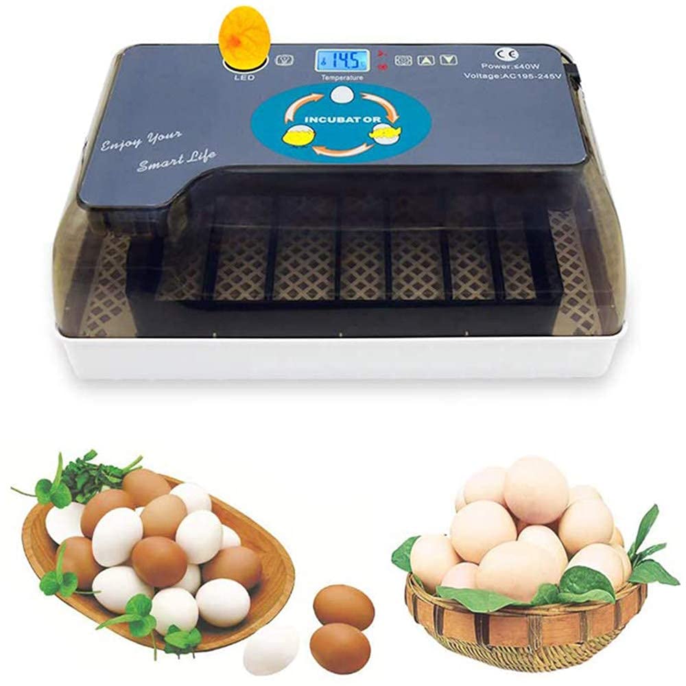 Buy BOCbco 12 Egg Incubator with Automatic Egg Turning & Humidity