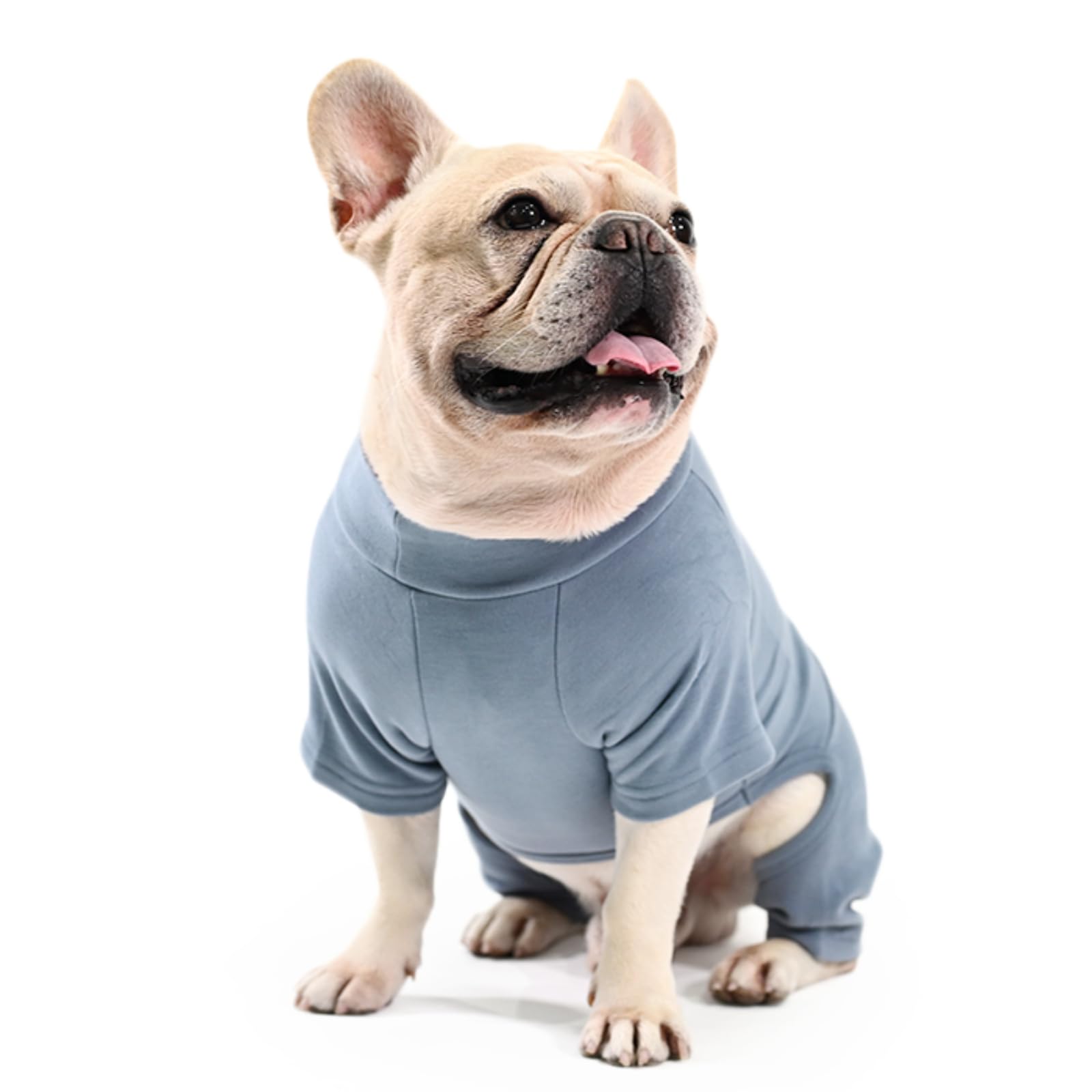 Amazon | フレンチブルドック 服 吸湿 発熱 抗菌 防臭 消臭 抗菌 犬の