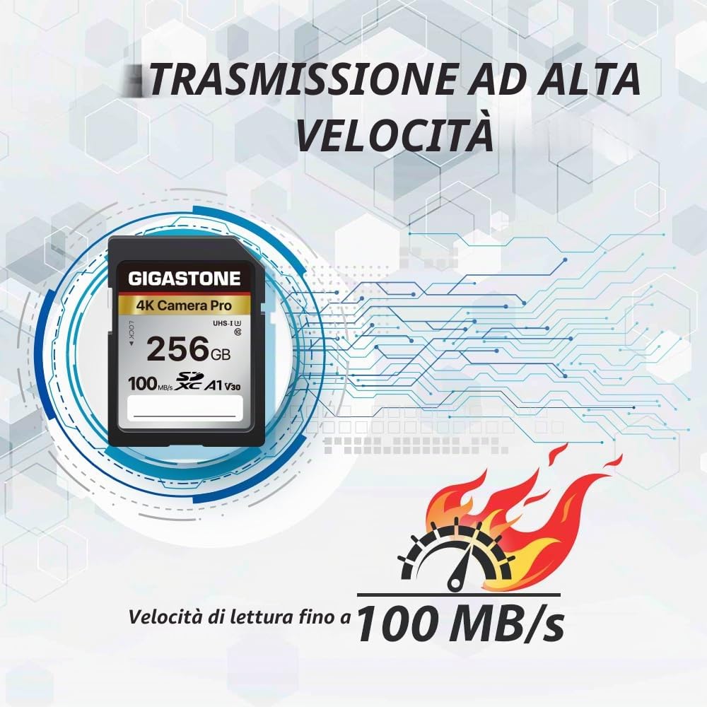 [5 anni di recupero dati gratuito] GIGASTONE Scheda di memoria da 256 GB Serie 4K Pro, velocità fino a 100 MB/s, compatibile con videocamere Canon, Nikon, Sony, A1 V30 UHS-I