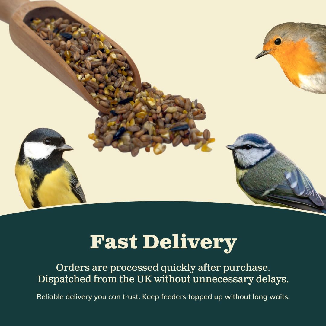 Weterton Feeds Premium All‑Season Wild Bird Seed with Aniseed, 20 kg | High‑Energy UK-Grown Wild Bird Food to Attract Small Garden Birds