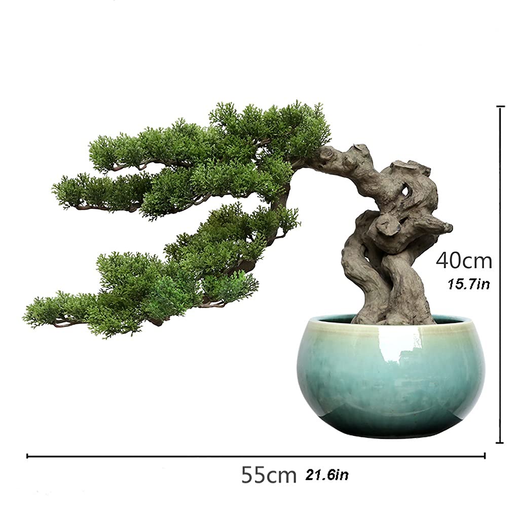 Amazon.de: Knstlicher Bonsai-Baum Knstliche Lebensbaum-Kiefer, knstliche  Topfpflanze, Wohnzimmer, einladende Kiefer, Kleiner Bonsai, kreative ...
