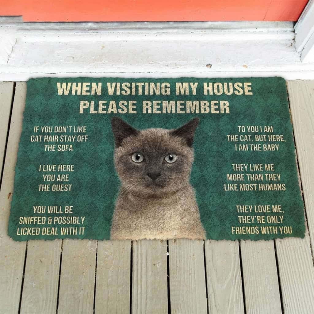 Paillasson extérieur entrée amour de chats siamois tapis maison chat