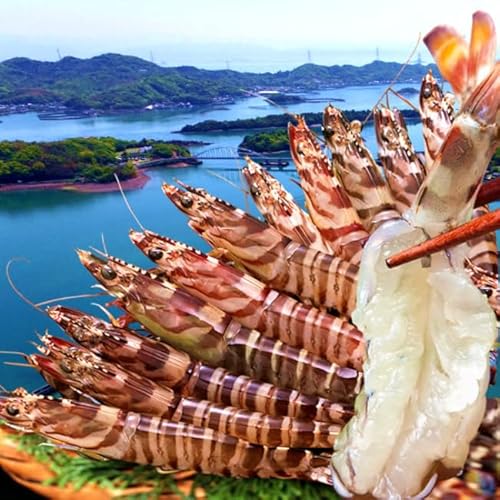 ԊCV ܂܁yz ԊCV 300giML 10`13j F{VY ۘa Ԃ xĂ hg {B VN N}Gr