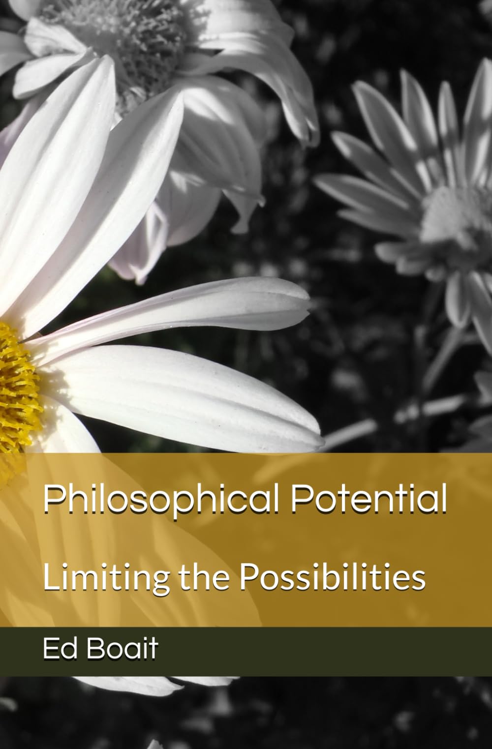 Philosophical Potential: Limiting the Possibilities