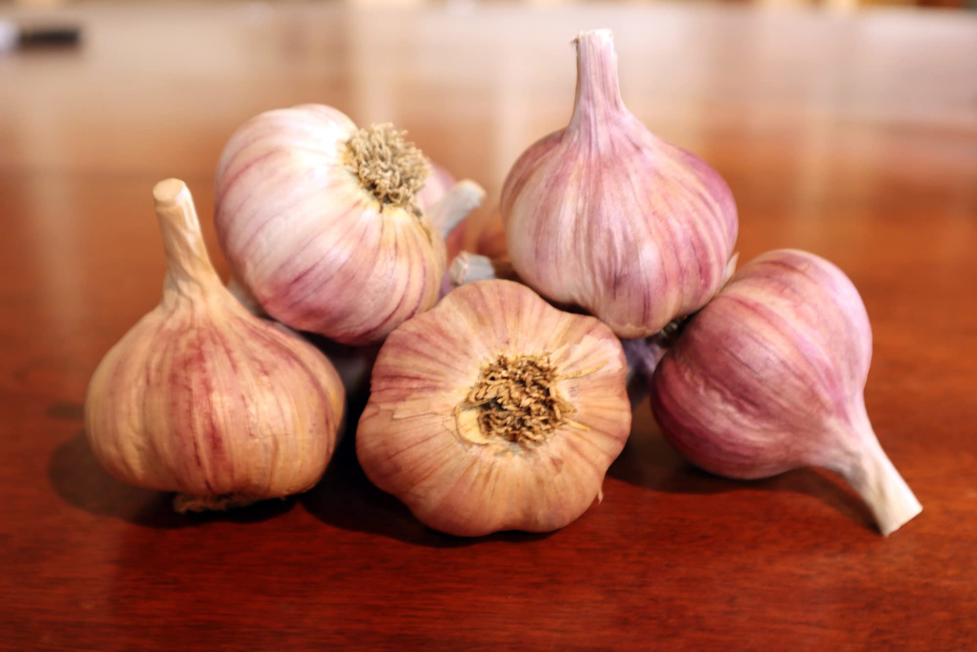 Duganski Hardneck Garlic - Heirloom - 3 Bulbs