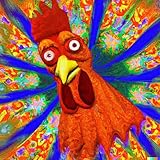 The Chicken Coop