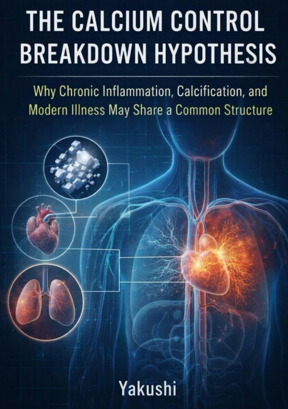 The Calcium Control Breakdown Hypothesis: Why Chronic Inflammation, Calcification, and Modern Illness May Share a Common Structure