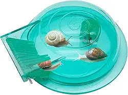 Apanhador de caracol para aquário | Caixa de armadilha de caracol transparente | Acessórios de limpeza pequenos, suprimentos leves de remoção de planária para aquário, aquário de peixes