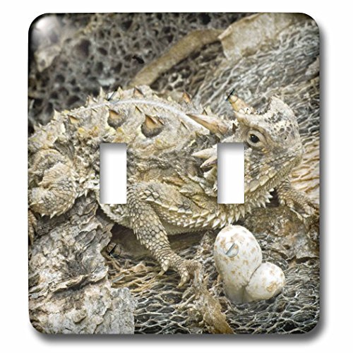 Interruptor de luz decorativo 3dRose lsp_94394_2 Usa Texas Horned Lizard para pared 3
