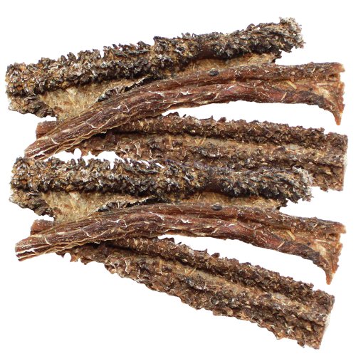 Schecker DOGREFORM Lamm Pansen 500g noch herzhafter und zarter als herkömmlicher Rinderpansen vor allem wesentlich bekömmlicher wir haben dem Pansen das Stinken abgewöhnt